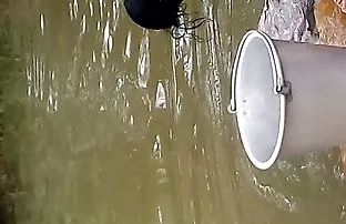 XXX આશરે fucked આ ગર્દભ માં મોહક રશિયન કાળી